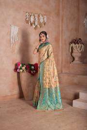 Np Saree  DN 9747A TO 9747D